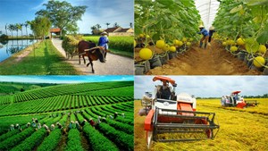 Khung chương trình đào tạo ngành Kinh tế nông nghiệp