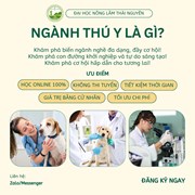 Giới thiệu ngành Dược Thú y